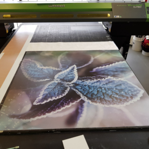 Large flatbed printed photo
